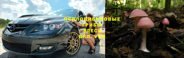мдпв Абинск