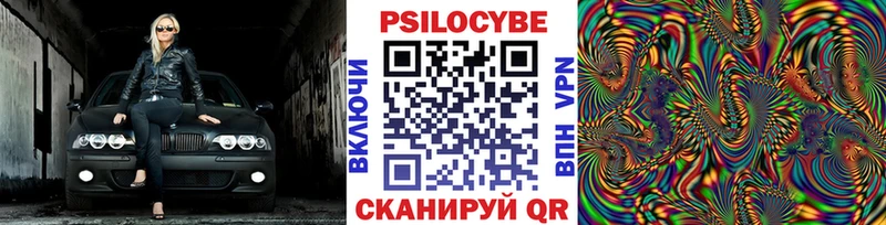 Псилоцибиновые грибы Cubensis  где найти наркотики  Мурино 